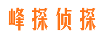 西区私人侦探